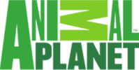 animal-planet.png